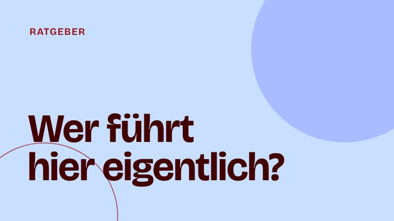 Wenn der Gründer sich überall einmischt: Was du als Teamlead tun kannst