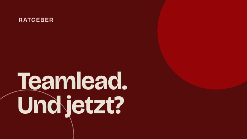 Teamlead im Startup: Aufgaben, Verantwortung und was dir vorher niemand sagt